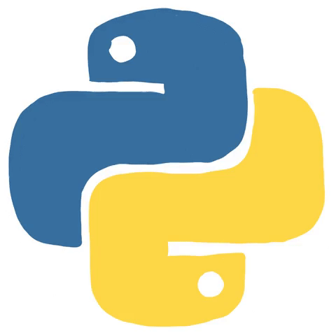 Python Development Service